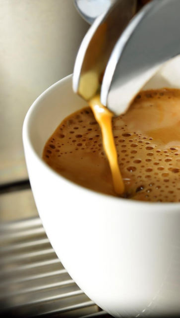 gallery/рисунок5